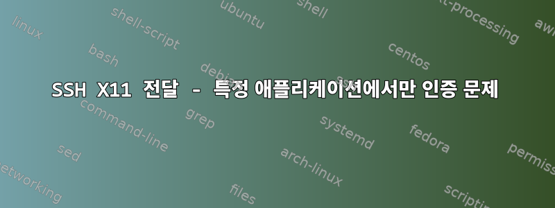 SSH X11 전달 - 특정 애플리케이션에서만 인증 문제