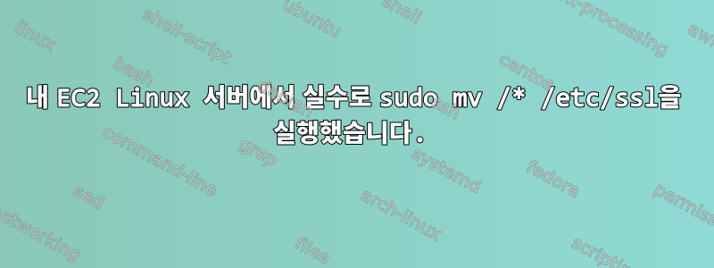 내 EC2 Linux 서버에서 실수로 sudo mv /* /etc/ssl을 실행했습니다.