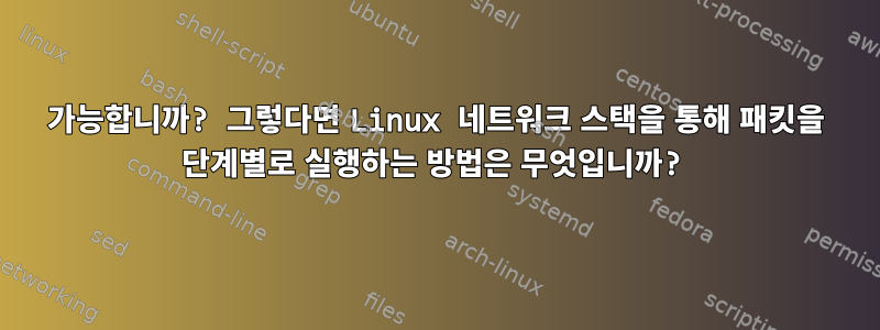 가능합니까? 그렇다면 Linux 네트워크 스택을 통해 패킷을 단계별로 실행하는 방법은 무엇입니까?