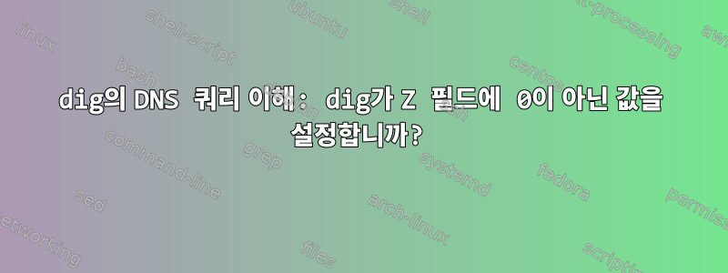 dig의 DNS 쿼리 이해: dig가 Z 필드에 0이 아닌 값을 설정합니까?