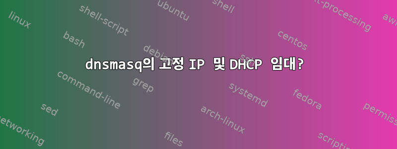 dnsmasq의 고정 IP 및 DHCP 임대?