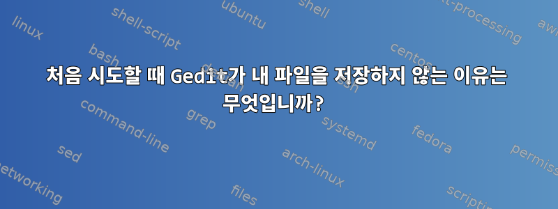 처음 시도할 때 Gedit가 내 파일을 저장하지 않는 이유는 무엇입니까?