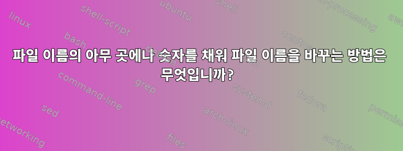 파일 이름의 아무 곳에나 숫자를 채워 파일 이름을 바꾸는 방법은 무엇입니까?