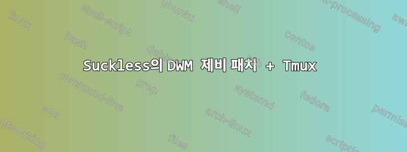 Suckless의 DWM 제비 패치 + Tmux