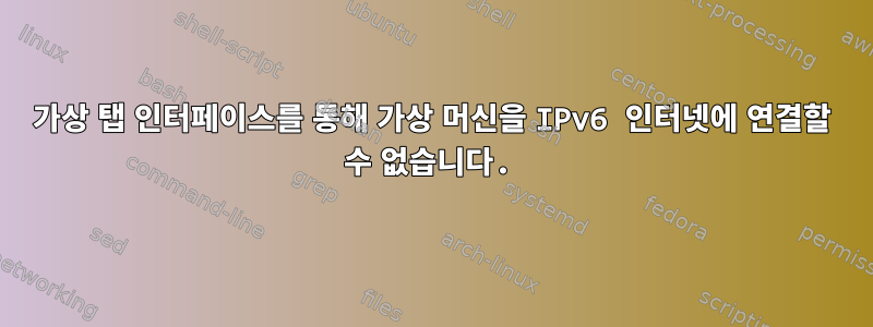 가상 탭 인터페이스를 통해 가상 머신을 IPv6 인터넷에 연결할 수 없습니다.