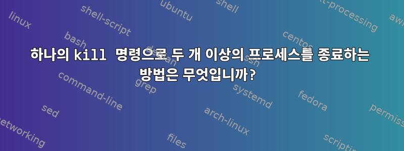 하나의 kill 명령으로 두 개 이상의 프로세스를 종료하는 방법은 무엇입니까?