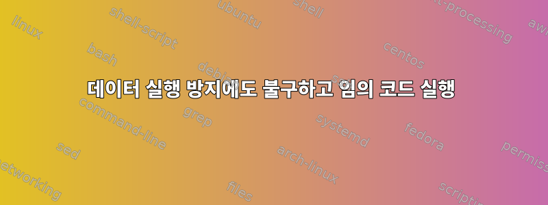 데이터 실행 방지에도 불구하고 임의 코드 실행