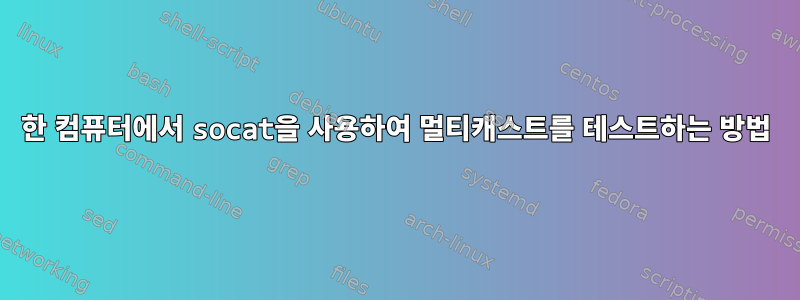 한 컴퓨터에서 socat을 사용하여 멀티캐스트를 테스트하는 방법