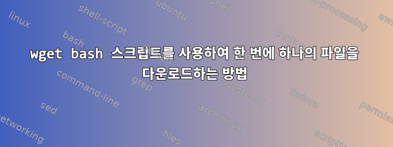 wget bash 스크립트를 사용하여 한 번에 하나의 파일을 다운로드하는 방법