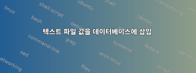 텍스트 파일 값을 데이터베이스에 삽입