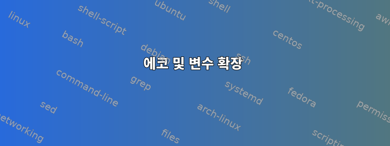 에코 및 변수 확장