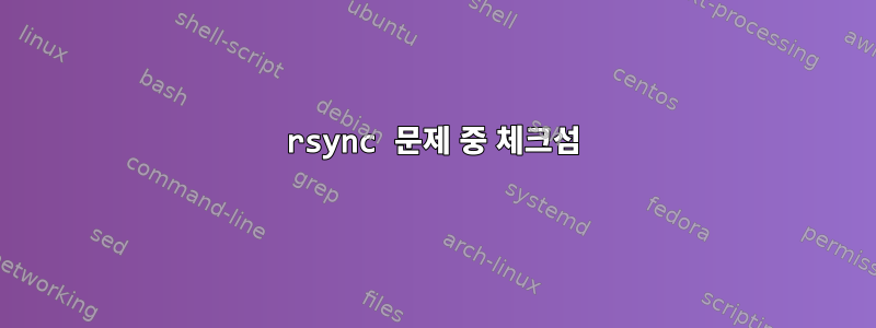 rsync 문제 중 체크섬