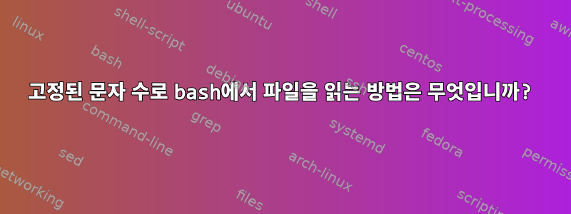 고정된 문자 수로 bash에서 파일을 읽는 방법은 무엇입니까?