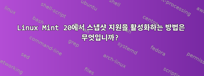 Linux Mint 20에서 스냅샷 지원을 활성화하는 방법은 무엇입니까?