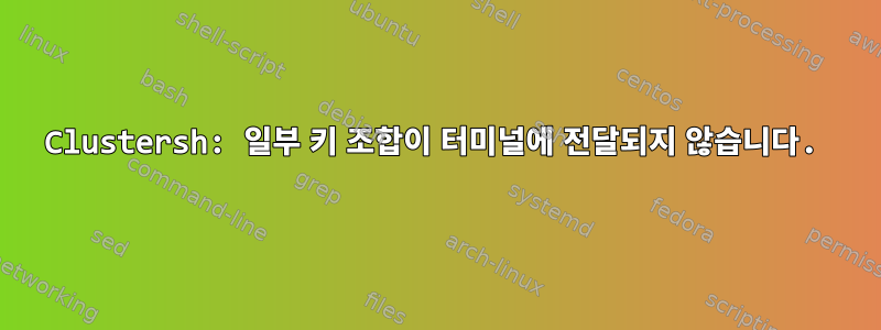 Clustersh: 일부 키 조합이 터미널에 전달되지 않습니다.