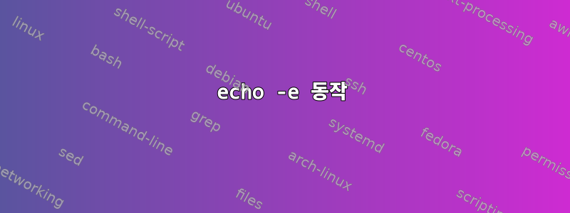 echo -e 동작