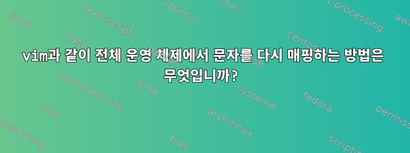 vim과 같이 전체 운영 체제에서 문자를 다시 매핑하는 방법은 무엇입니까?