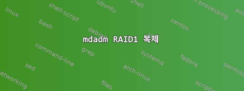 mdadm RAID1 복제