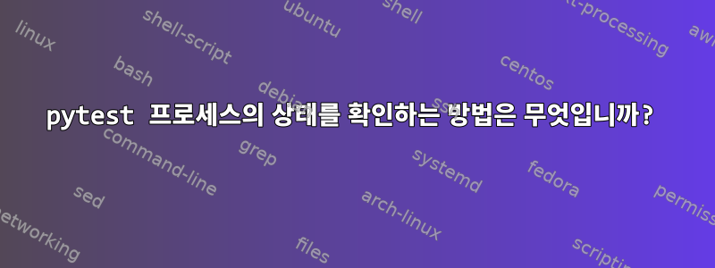 pytest 프로세스의 상태를 확인하는 방법은 무엇입니까?