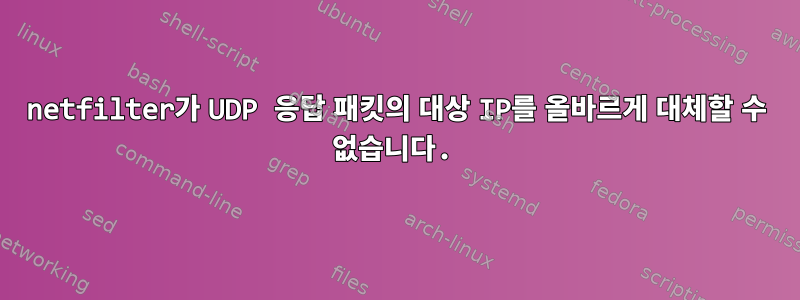 netfilter가 UDP 응답 패킷의 대상 IP를 올바르게 대체할 수 없습니다.