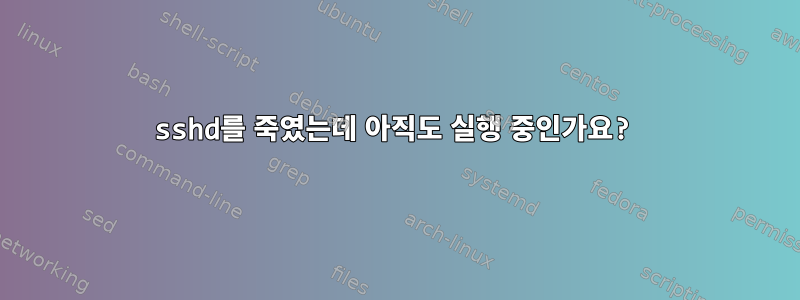 sshd를 죽였는데 아직도 실행 중인가요?