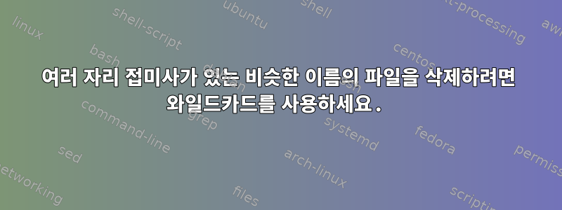 여러 자리 접미사가 있는 비슷한 이름의 파일을 삭제하려면 와일드카드를 사용하세요.