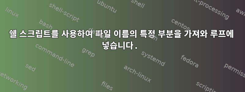 쉘 스크립트를 사용하여 파일 이름의 특정 부분을 가져와 루프에 넣습니다.