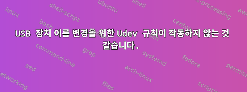 USB 장치 이름 변경을 위한 Udev 규칙이 작동하지 않는 것 같습니다.