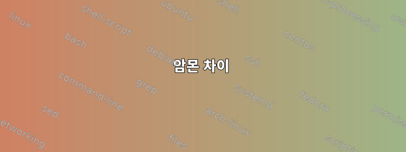 암몬 차이