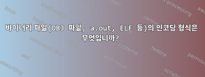 바이너리 파일(OBJ 파일, a.out, ELF 등)의 인코딩 형식은 무엇입니까?