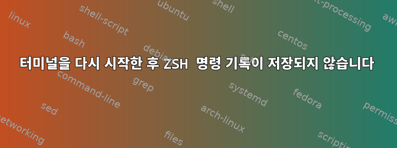 터미널을 다시 시작한 후 ZSH 명령 기록이 저장되지 않습니다