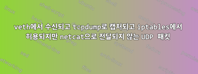 veth에서 수신되고 tcpdump로 캡처되고 iptables에서 허용되지만 netcat으로 전달되지 않는 UDP 패킷