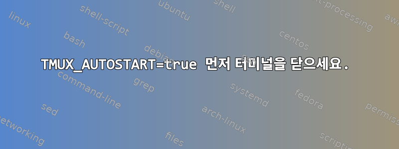 TMUX_AUTOSTART=true 먼저 터미널을 닫으세요.