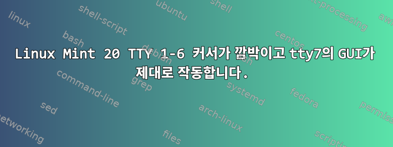 Linux Mint 20 TTY 1-6 커서가 깜박이고 tty7의 GUI가 제대로 작동합니다.