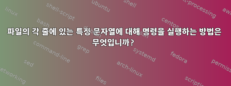 파일의 각 줄에 있는 특정 문자열에 대해 명령을 실행하는 방법은 무엇입니까?