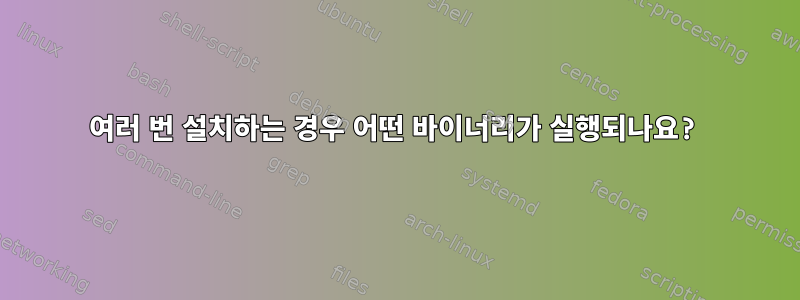 여러 번 설치하는 경우 어떤 바이너리가 실행되나요?