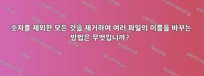 숫자를 제외한 모든 것을 제거하여 여러 파일의 이름을 바꾸는 방법은 무엇입니까?