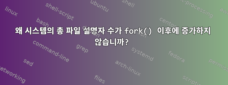 왜 시스템의 총 파일 설명자 수가 fork() 이후에 증가하지 않습니까?