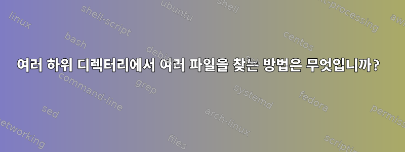 여러 하위 디렉터리에서 여러 파일을 찾는 방법은 무엇입니까?