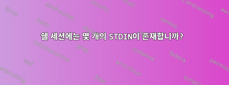 쉘 세션에는 몇 개의 STDIN이 존재합니까?