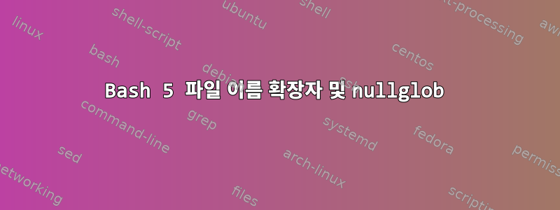 Bash 5 파일 이름 확장자 및 nullglob