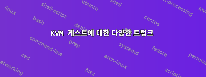 KVM 게스트에 대한 다양한 트렁크