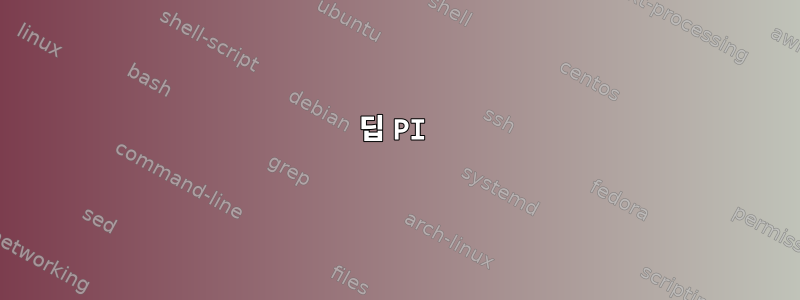 딥 PI