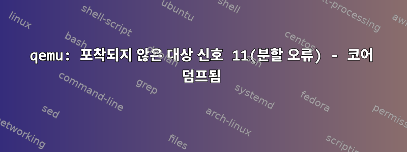 qemu: 포착되지 않은 대상 신호 11(분할 오류) - 코어 덤프됨