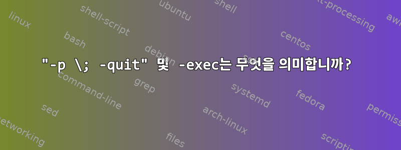 "-p \; -quit" 및 -exec는 무엇을 의미합니까?