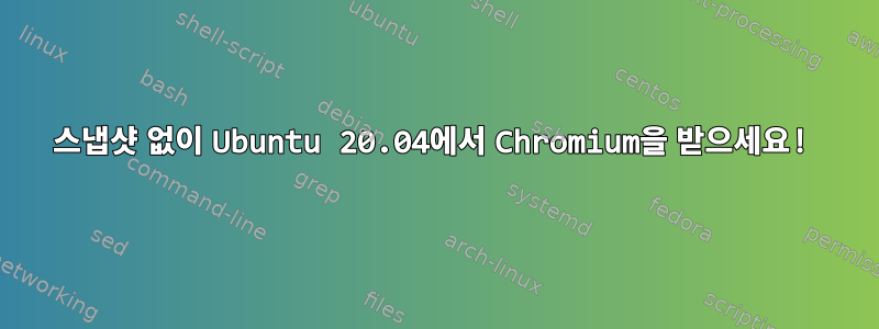 스냅샷 없이 Ubuntu 20.04에서 Chromium을 받으세요!