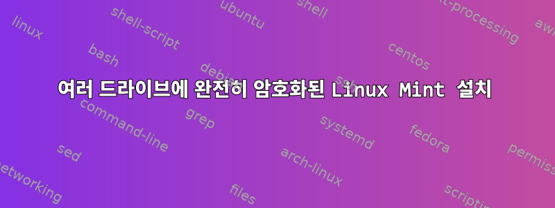 여러 드라이브에 완전히 암호화된 Linux Mint 설치