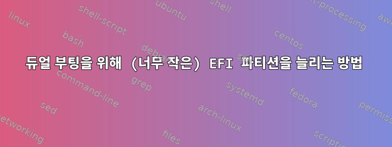 듀얼 부팅을 위해 (너무 작은) EFI 파티션을 늘리는 방법