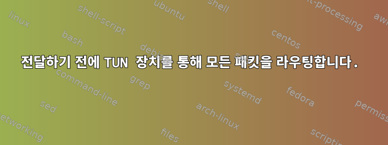 전달하기 전에 TUN 장치를 통해 모든 패킷을 라우팅합니다.