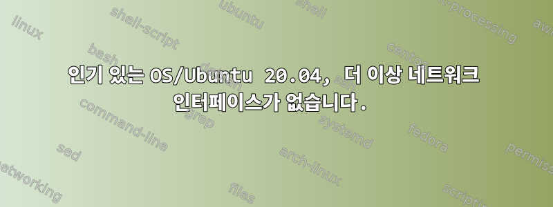 인기 있는 OS/Ubuntu 20.04, 더 이상 네트워크 인터페이스가 없습니다.